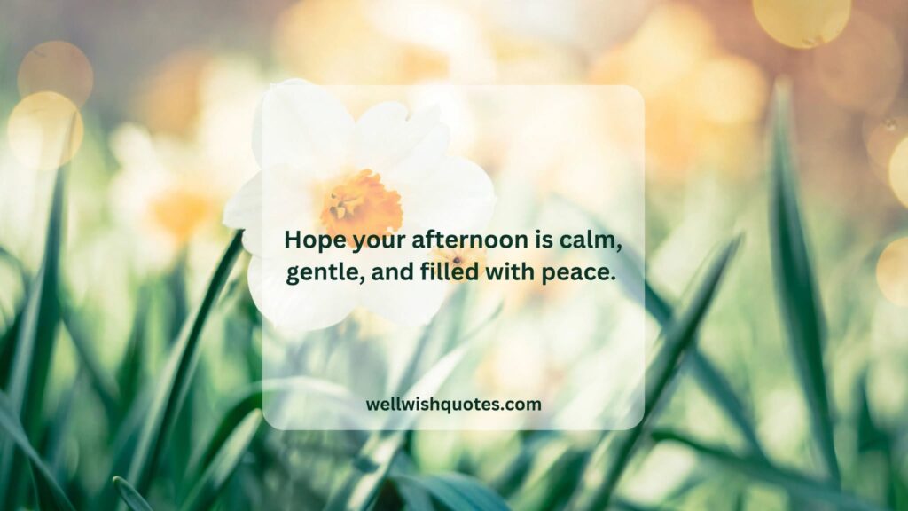 Good Afternoon quotes