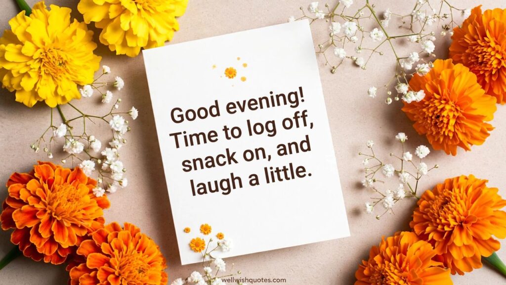 funny good evening message