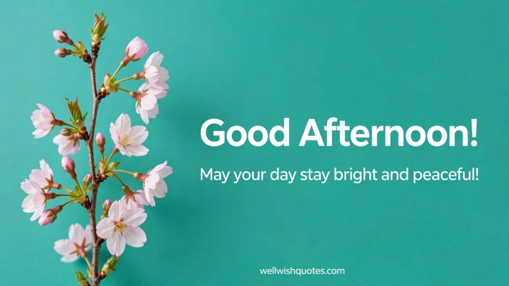 good afternoon